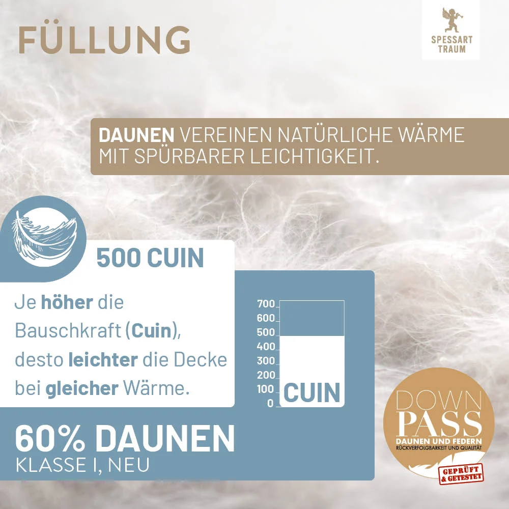 Spessarttraum Cassettendecke Detail